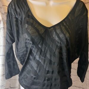 Express Black Sheer Zebra V-Neck Blouse